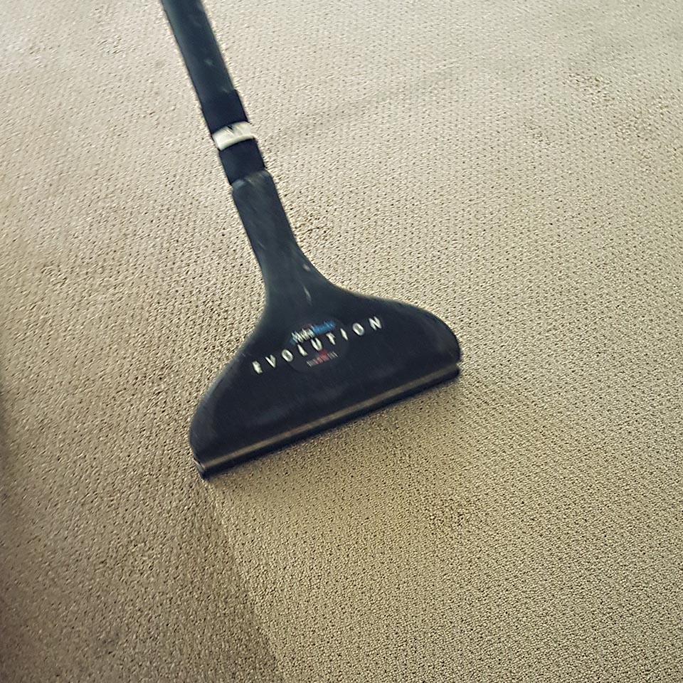 carpet cleaning