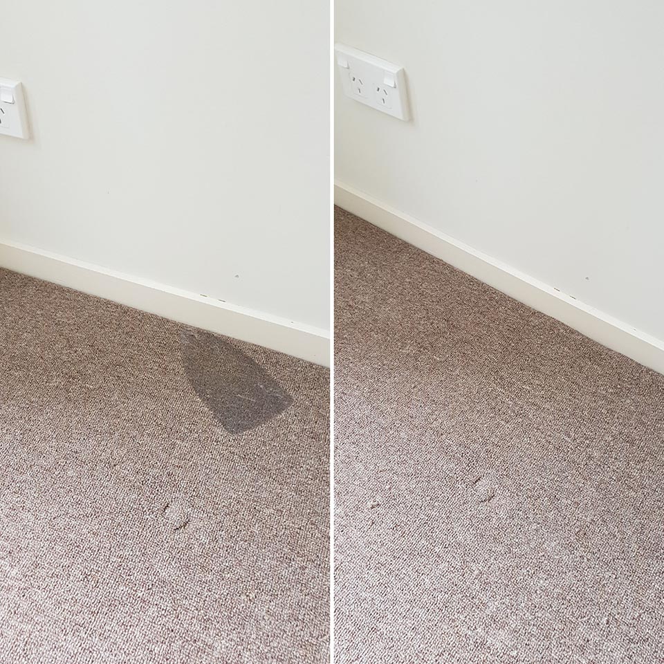R L Carpet Upholstery Cleaning Restoration Independence Blue Springs Lee S Summit Mo