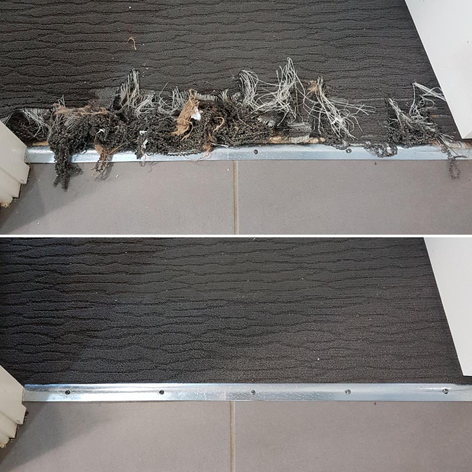 carpet repair 3